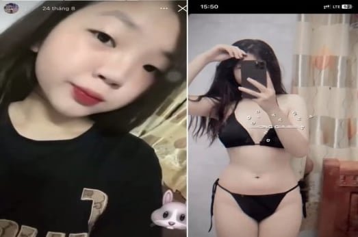 Thỏ đã phá nát cái lỗ thần thánh